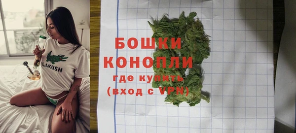 PSILOCYBIN Белоозёрский