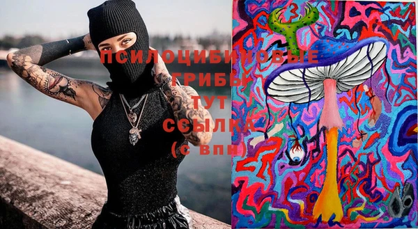PSILOCYBIN Белоозёрский