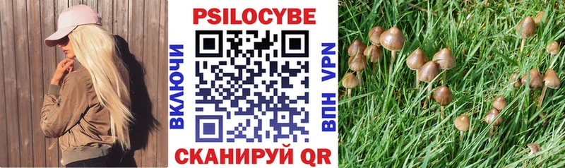 KRAKEN как зайти  закладка  Дагестанские Огни  Галлюциногенные грибы ЛСД 